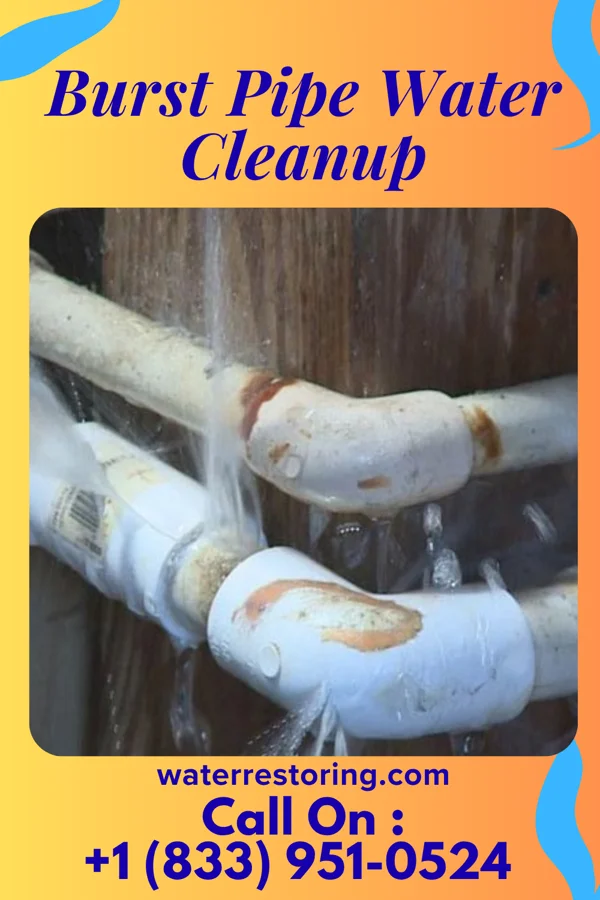 Burst Pipe Water Cleanup in Towner, ND