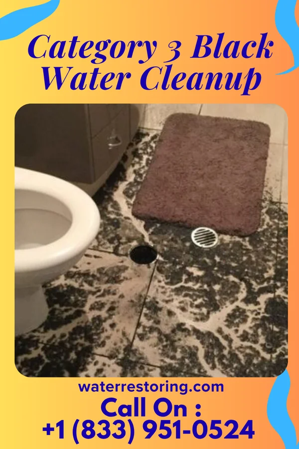 Category 3 Black Water Cleanup in Towner, ND