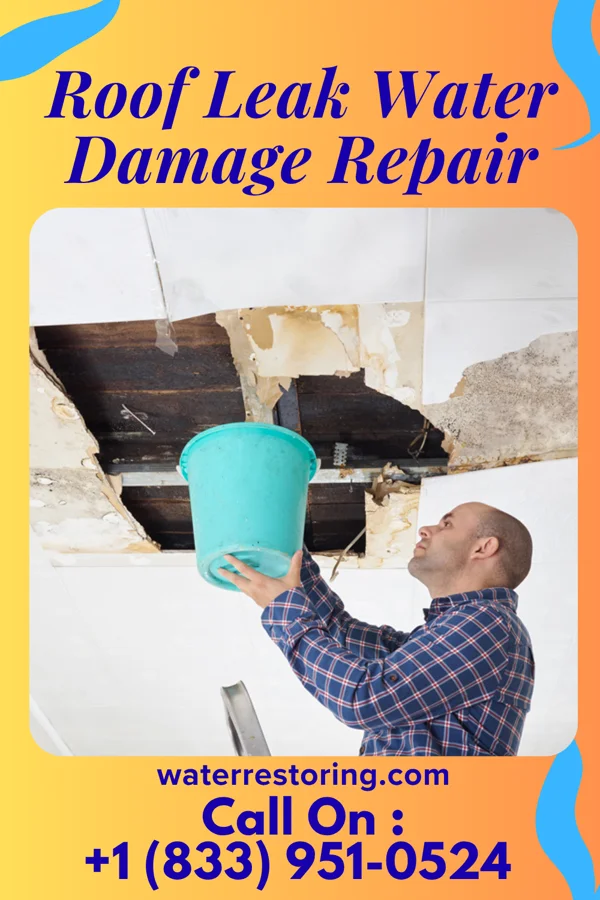 Roof Leak Water Damage Repair in Towner, ND