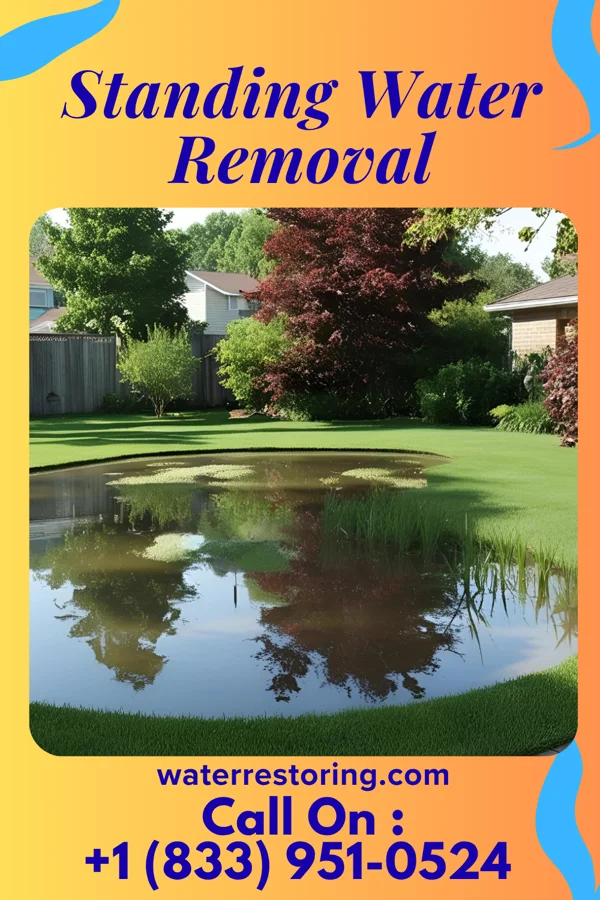 Standing Water Removal in Towner, ND